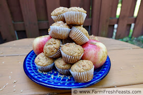 picture of a plate of SweeTango apples and toffee apple mini muffins 