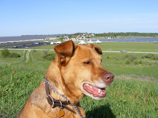 Reba at Maumee Bay