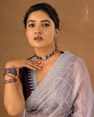 Vani Bhojan in a gorgeous silk saree, radiating timeless beauty in her latest fashion shoot