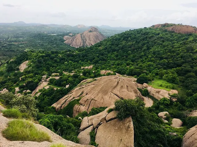 Ramdevara Betta Vulture Sanctuary