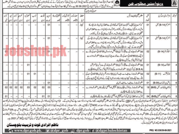 Directorate Of Manpower Training Balochistan Jobs In Quetta 2021