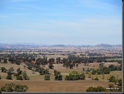 180517 038  Cowra