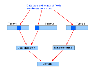 SAP ABAP - Domains النطاقات في ساب