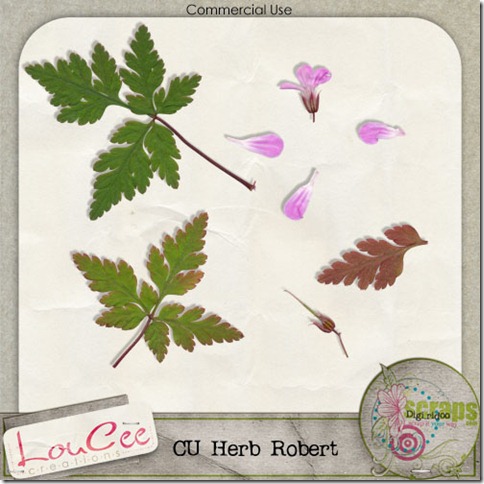 lcc_CUhr