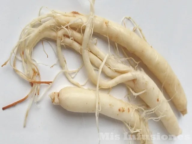 Almacenamiento y conservación del ginseng