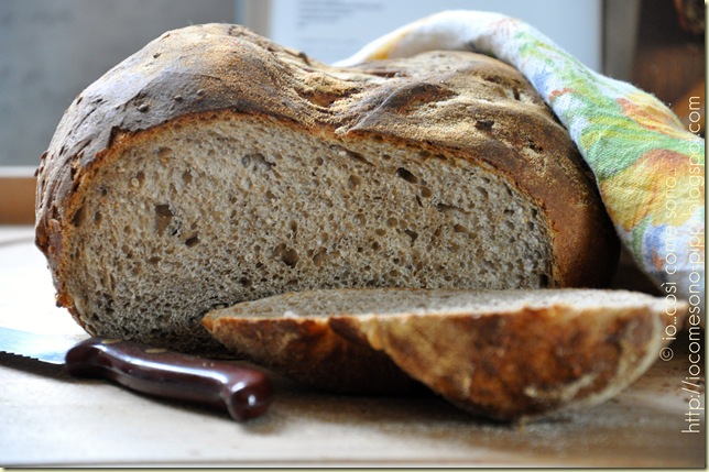 Pane nero ai 7 cereali a lievitazione naturale4