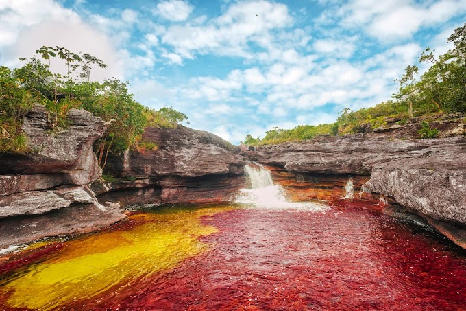 Río Caño Cristales, arcoíris derretido en el agua