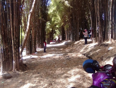 Taman Harmoni dan Hutan Bambu Surabaya