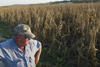 Farmers who have dealt with droughts and damaging storms know the risks of climate change. Under the Trump administration, federal farm conservation staff have been coached not to use the term. (Credit: Saul Loeb/AFP/Getty Images) Click to Enlarge.