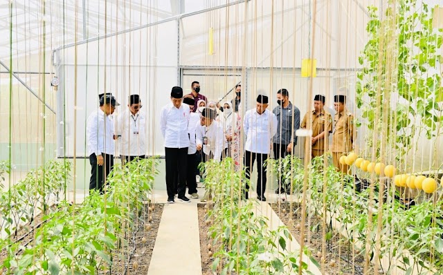 Presiden Jokowi Apresiasi Model Bisnis Pertanian di Ponpes Al-Ittifaq
