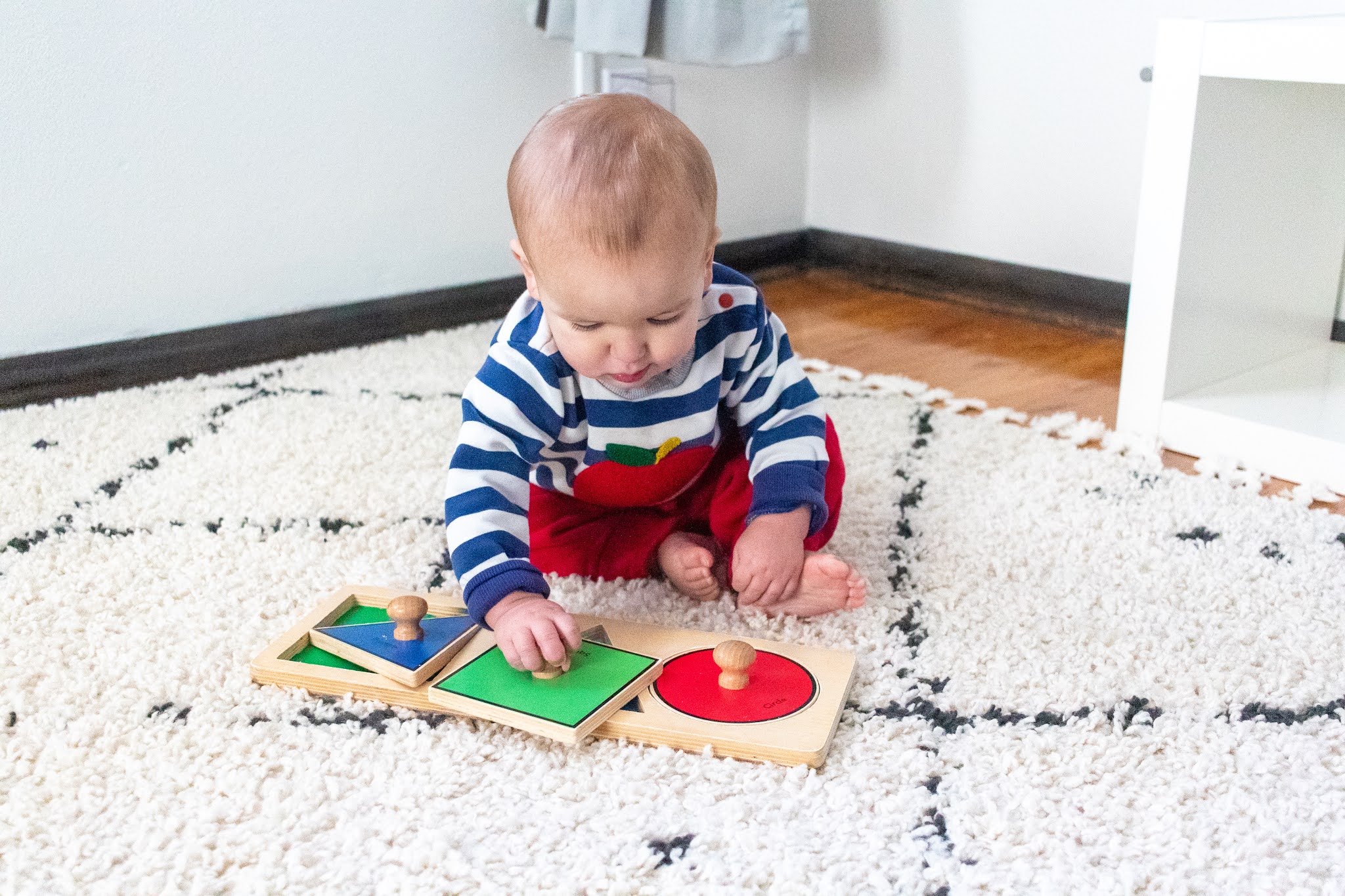 Montessori First Puzzles