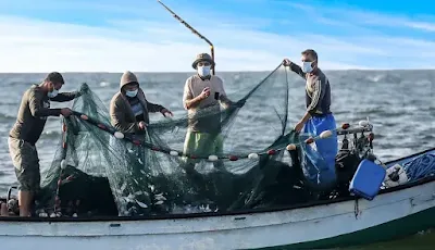 Aktivitas Ekonomi Masyarakat Sekitar Pantai Saat Menangkap Ikan