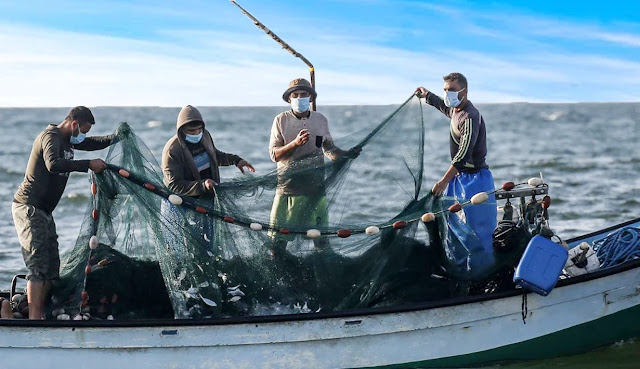 Aktivitas Ekonomi Masyarakat Sekitar Pantai Saat Menangkap Ikan
