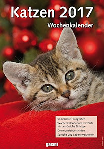 Wochenkalender - Katzen 2017