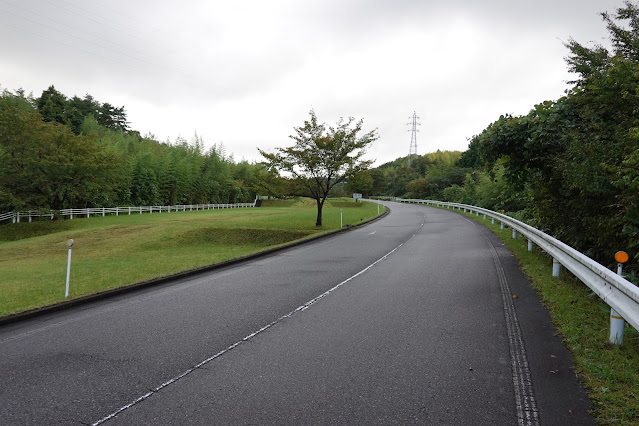 鳥取県西伯郡南部町鶴田　とっとり花回廊付近の道路