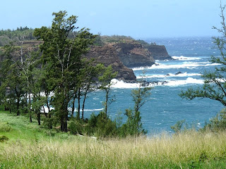 Living in Hawaii, North Kohala