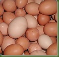 eggs2