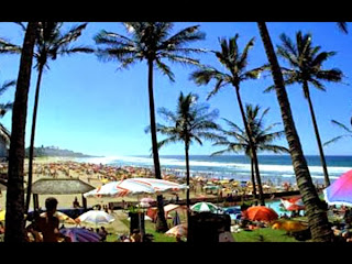 Kwazulu Natal South Coast Businesses For Sale