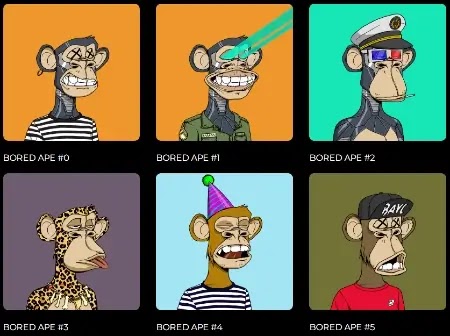 Captura de tela da galeria de NFTs do site do Bored Ape Yatch Club (https://boredapeyachtclub.com)