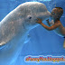 A Child Kisses a Beluga Whale Underwater