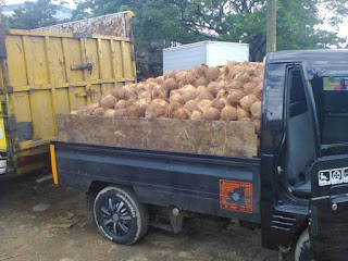 Pemasok Kelapa PT Bontojalling Baoji Indonesia