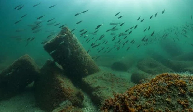 'Osiris, Sunken Mysteries of Egypt' at the Arab World Institute, Paris