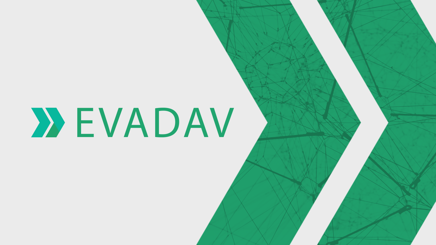 EvaDav Ad Network Review in 2024 Leading advertising platform
