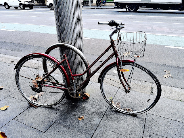 Discarded bike. Hyde Park Sydney. Photo by Rachel Hancock