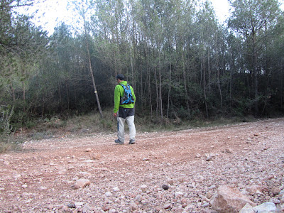 MAS BARTOMEU - PUIG DEL PI SOL - TORREGASSA, camí