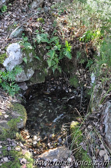 El Colmenar - Jimena de la Frontera