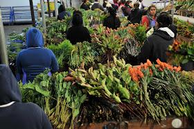 SunPac Bouquet Builders