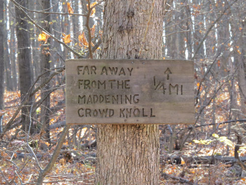 Far From the Maddening Crowd sign