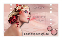 http://kadspspdesign.be/NL_Les_457_Blind.html