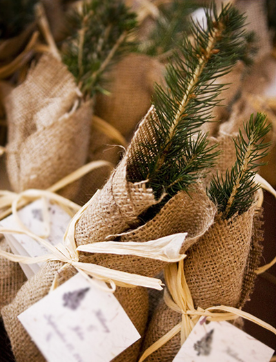 Great for a more rustic winter wedding tree saplings are ecofriendly and