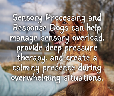 Sensory Processing and Response Dogs can help manage sensory overload, provide deep pressure therapy, and create a calming presence during overwhelming situations.