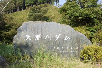 DSC 0011