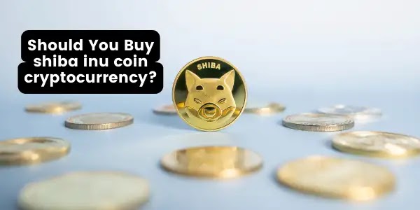 Will the Shiba Inu Coin reach a $1 value any time soon?