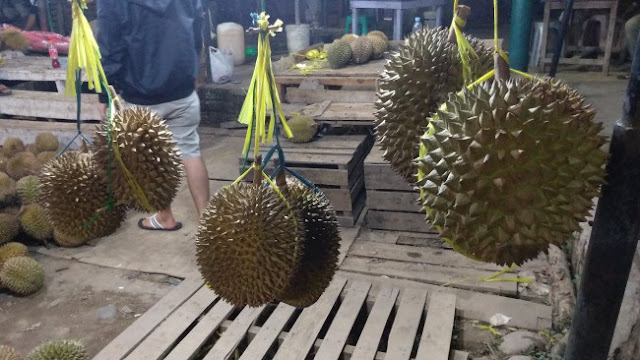 durian