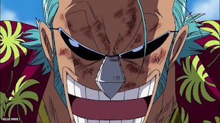 ワンピース アニメ 総集編 麦わらの一味とCP サイファーポール ONE PIECE Straw Hats vs. Cipher Pol