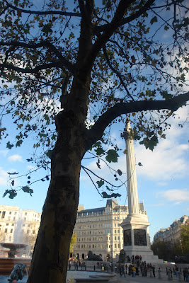 Nelson's column obscured by a tree