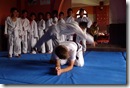 Lotus Judo Club - mae ukemi