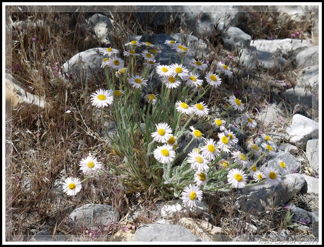 EFP-P1110515