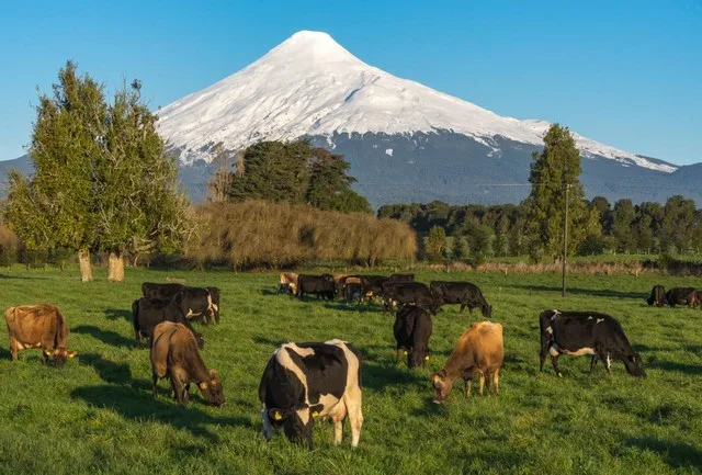 Soluciones agrícolas