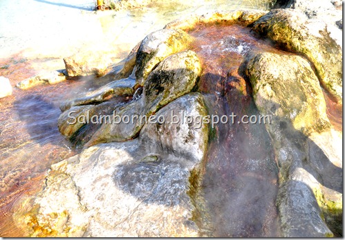 DSC_2271_Fotor