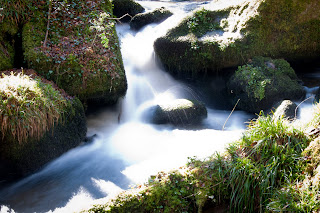 Kennall Vale Woods Ponsanooth