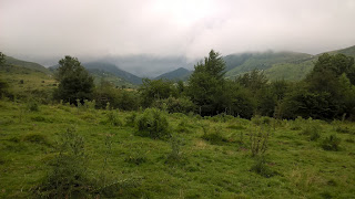 Ruta por la Reserva de Mendilatz. Selva  de Irati.