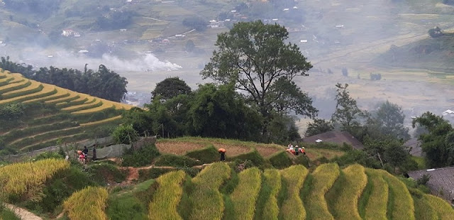 3 Amazing Destinations in Northern Vietnam You Can Visit in 1 week or Less 4