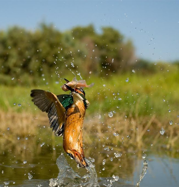 Amazing Pictures taken by the best photographers