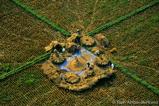 Fotografia_Yann_Arthus_Bertrand