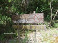 Teluk_Limau_trail_Bako_National_Park_68